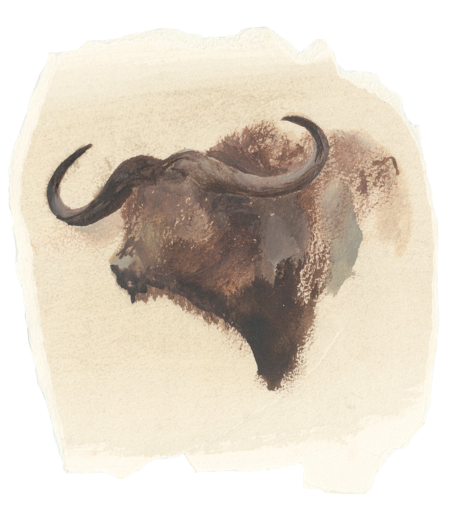 Buffalo Bust