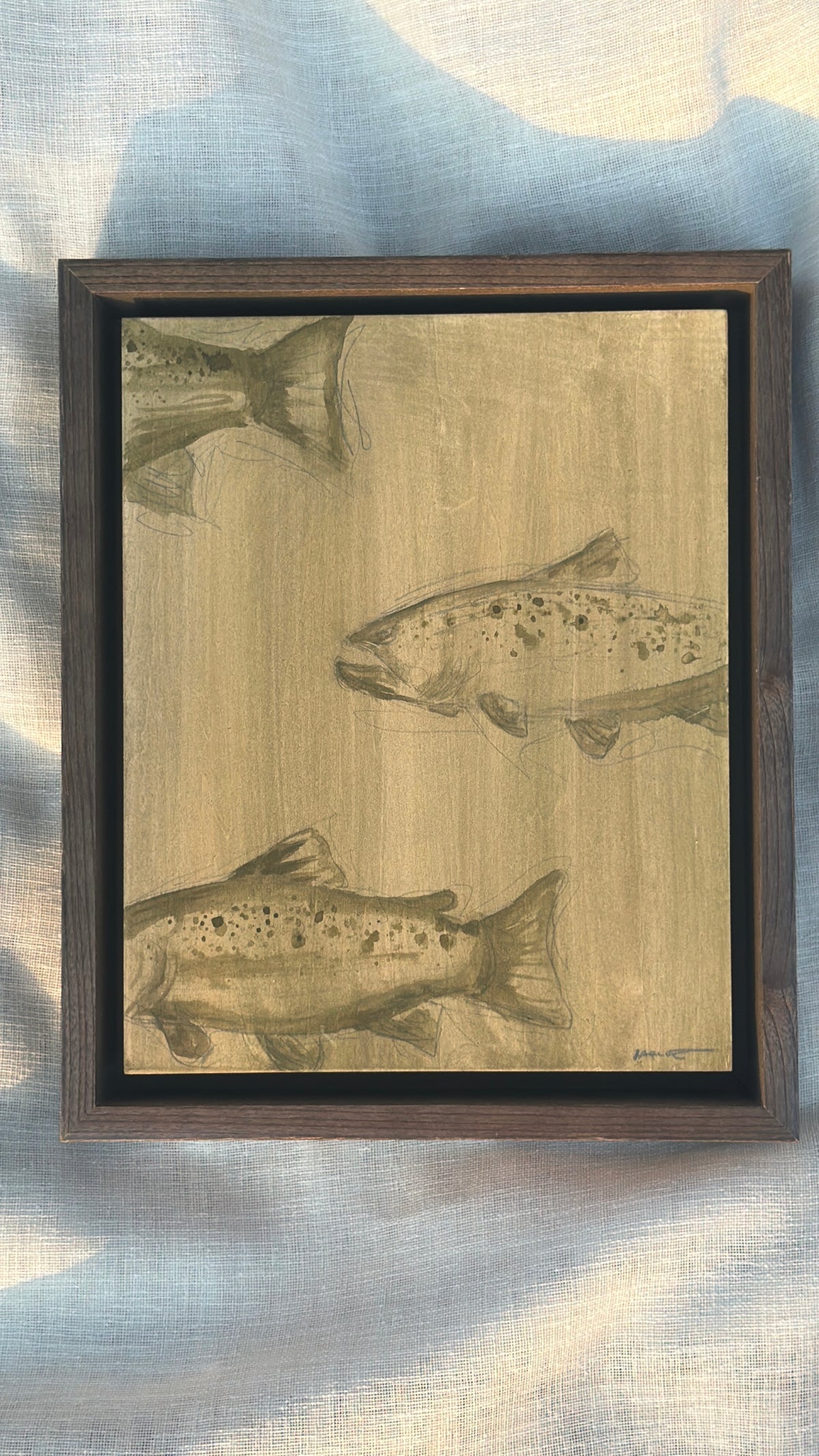 September Catch