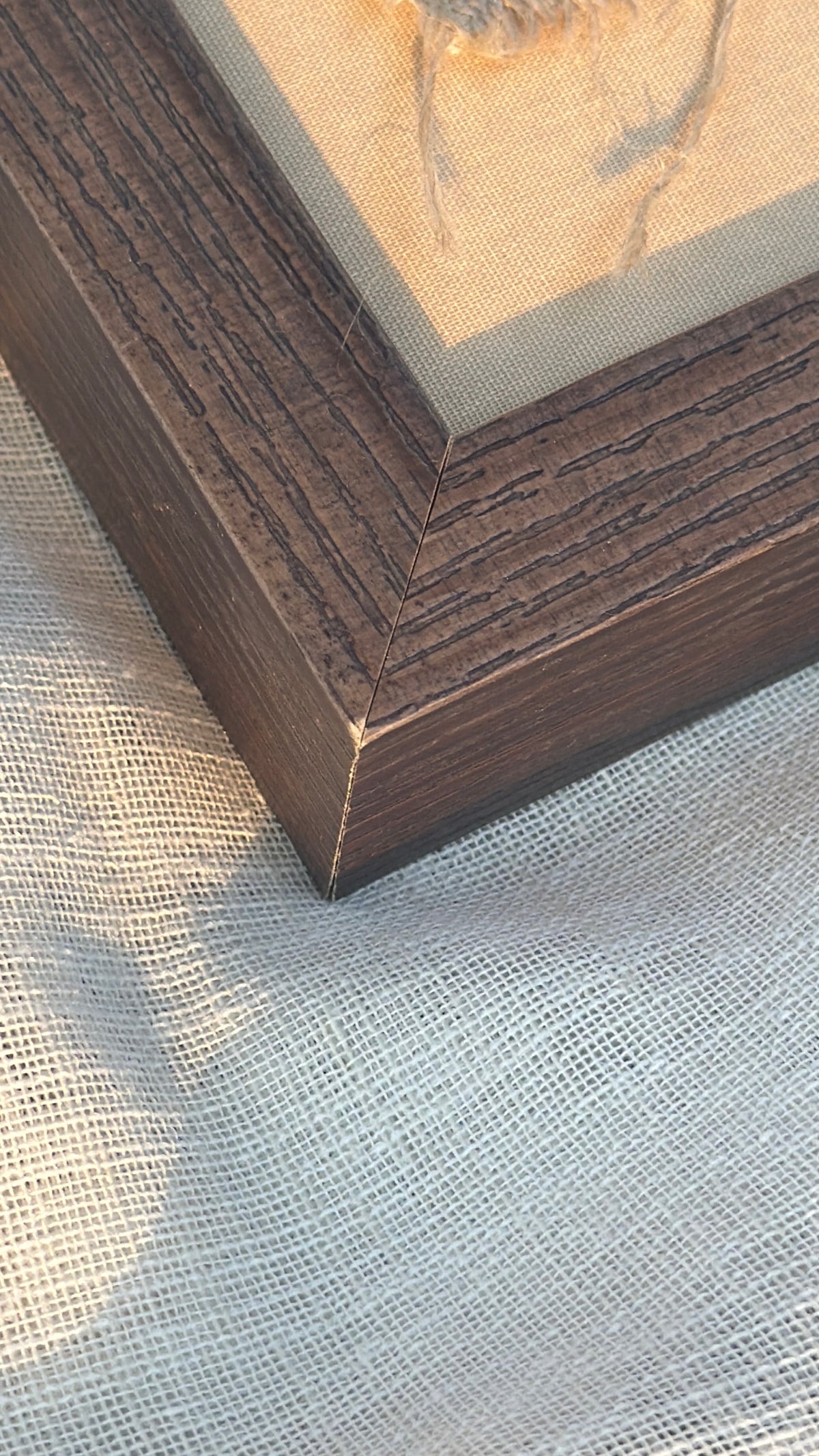 Trout Stitch
