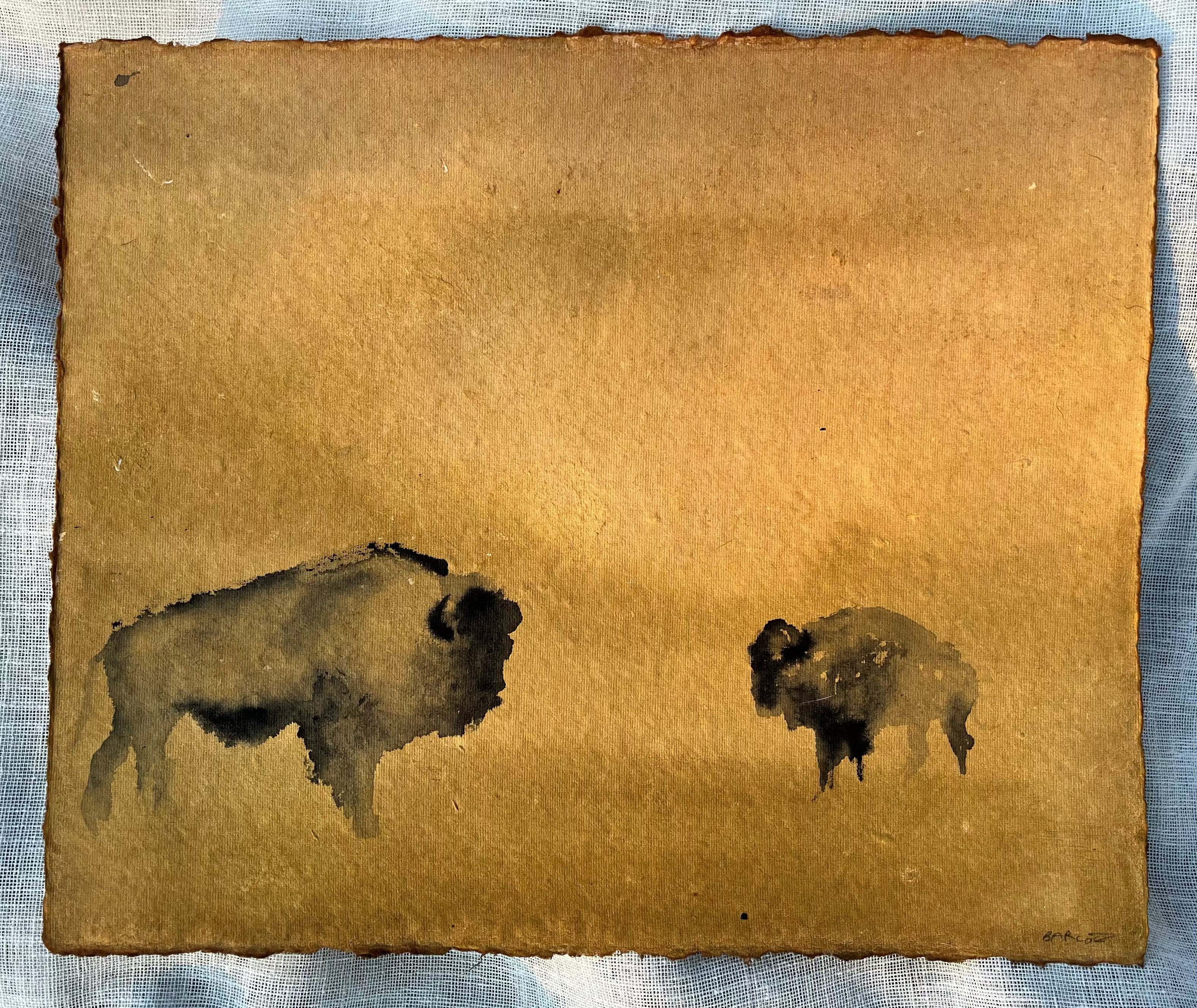 Bison Roaming
